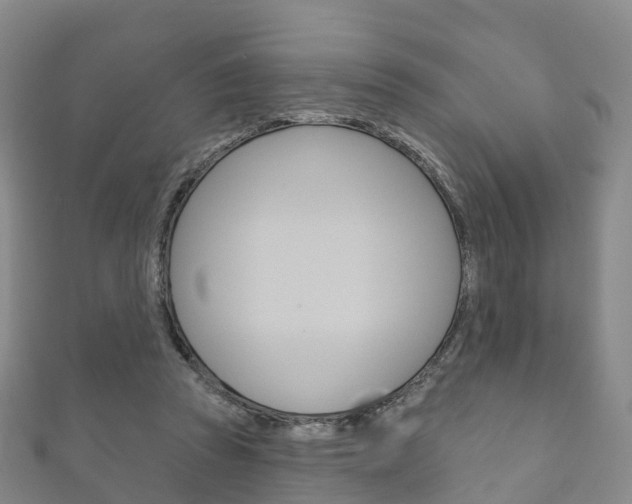 X0000111930353200907271035