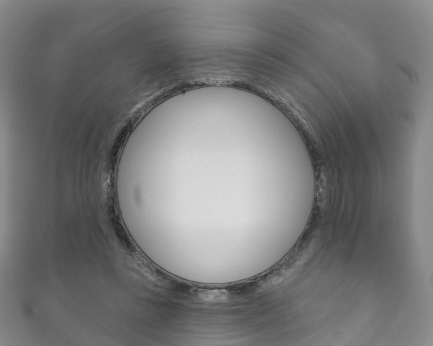X0000111930355200907271035