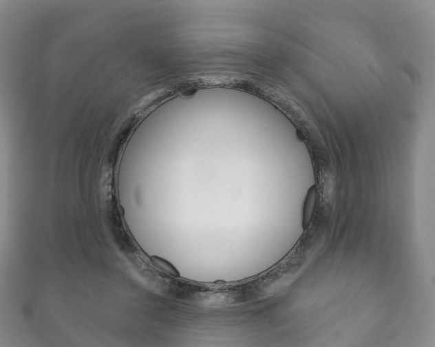X0000111930356200907271035