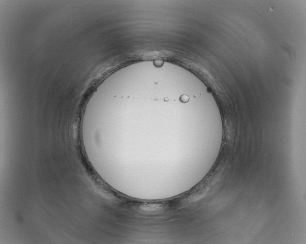 X0000111930357200907271035