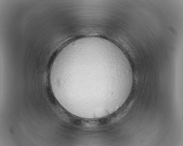 X0000111930359200907271035