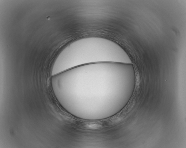 X0000111930360200907271035