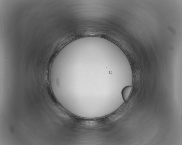 X0000111930361200907271035