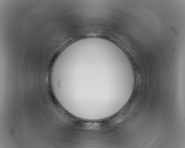 X0000111930363200907271035