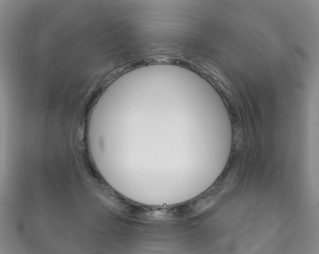 X0000111930365200907271035
