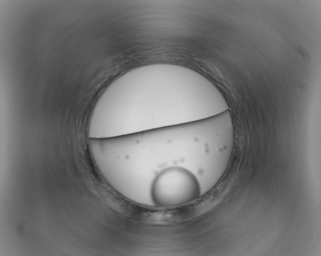 X0000111930366200907271036