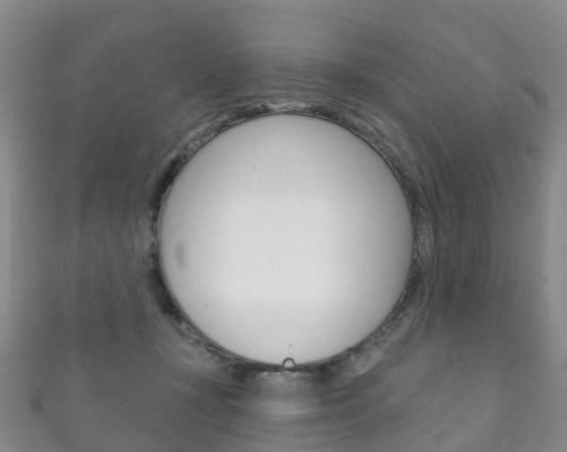 X0000111930367200907271036
