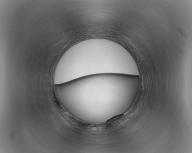 X0000111930368200907271036