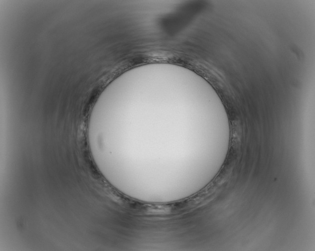 X0000111930369200907271036