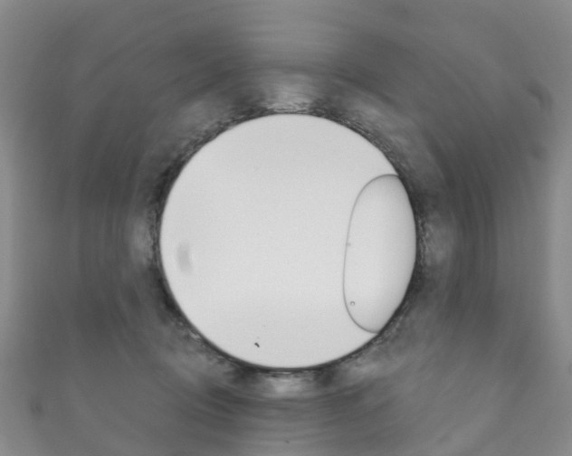 X0000111930370200907271036