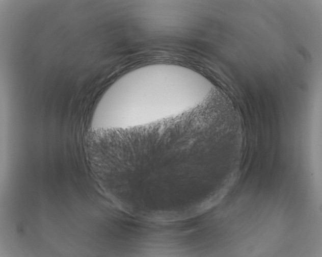 X0000111930371200907271036