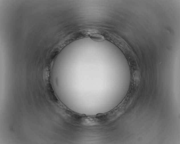 X0000111930372200907271036