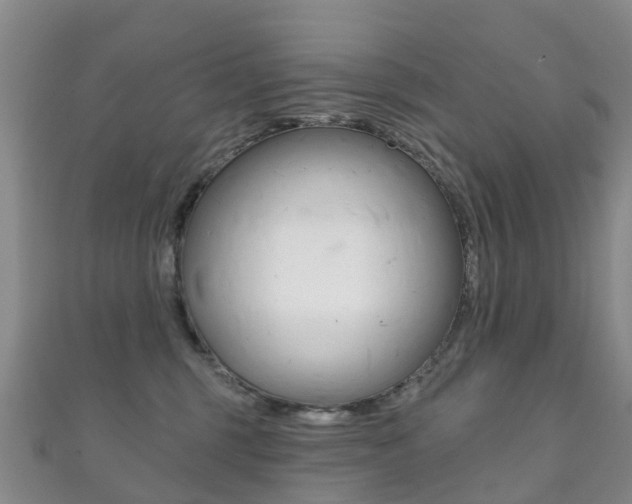 X0000111930375200907271036