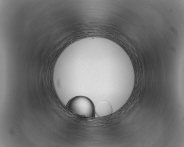 X0000111930376200907271036