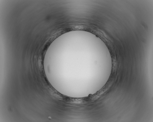 X0000111930377200907271036