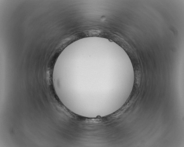 X0000111930378200907271036