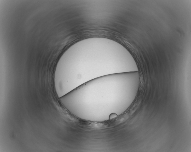 X0000111930379200907271036