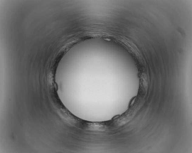 X0000111930380200907271036