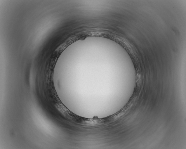X0000111930381200907271036