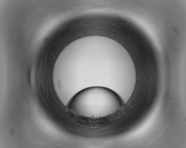 X0000111930382200907271036