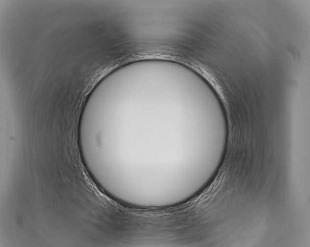 X0000111930385200907271035