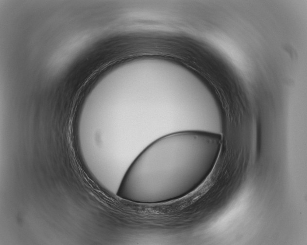 X0000111930387200907271035