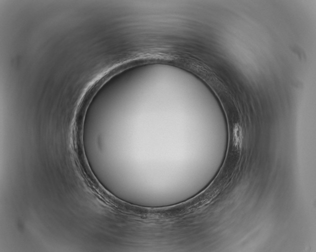 X0000111930388200907271035