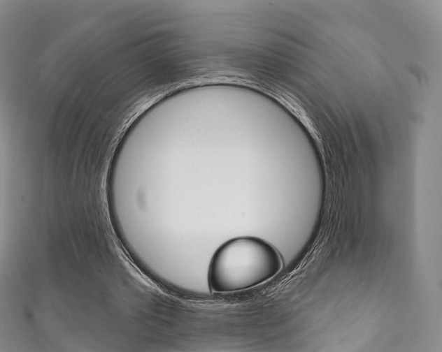 X0000111930389200907271035