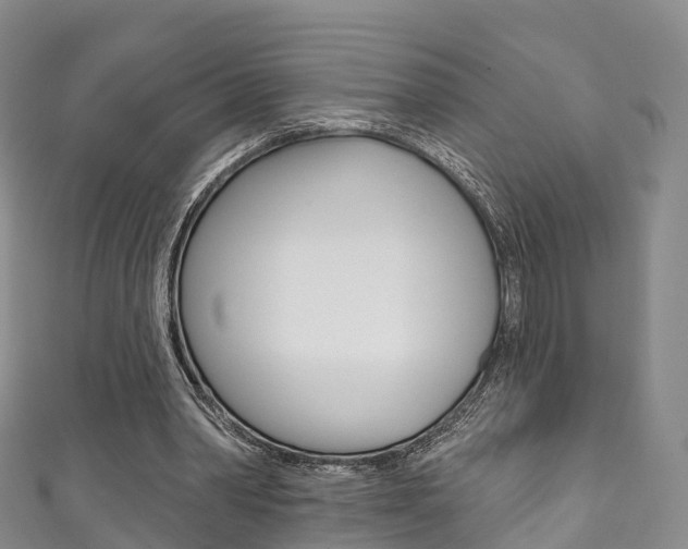 X0000111930390200907271035