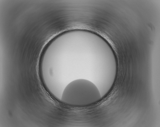X0000111930391200907271035