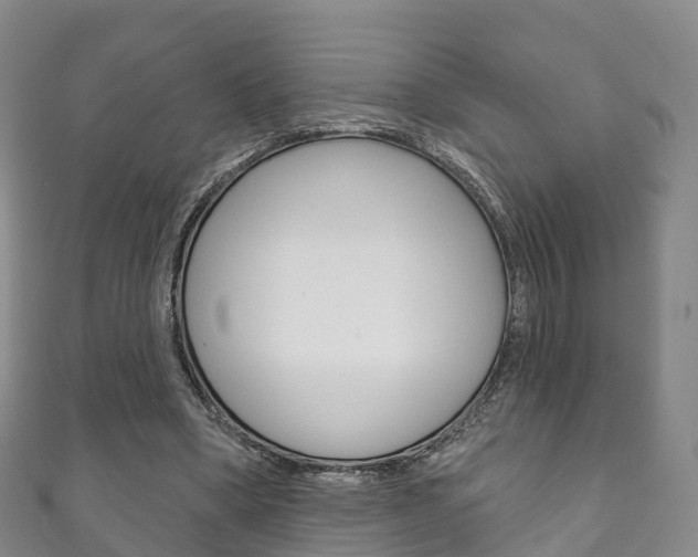 X0000111930394200907271035