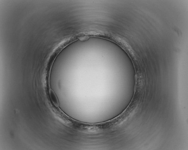 X0000111930395200907271035