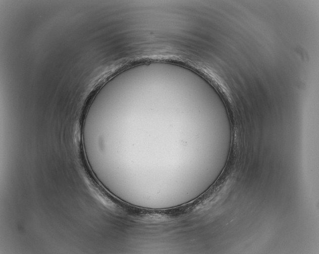 X0000111930397200907271035