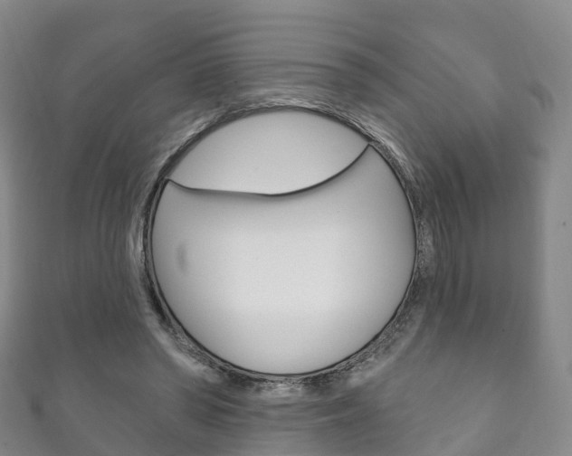 X0000111930398200907271035