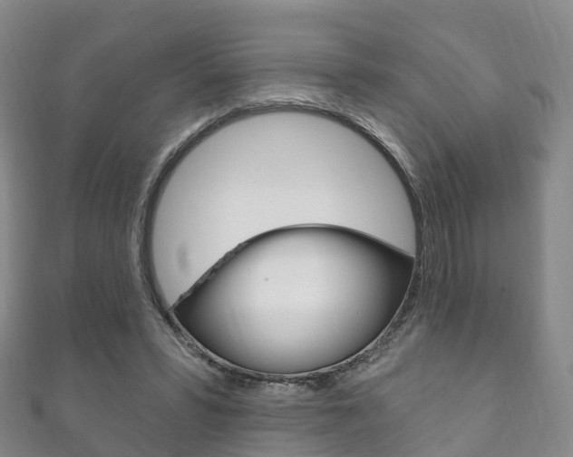 X0000111930399200907271035