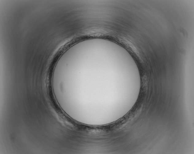 X0000111930400200907271035