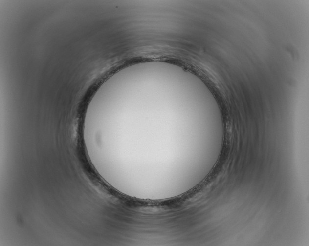 X0000111930404200907271035