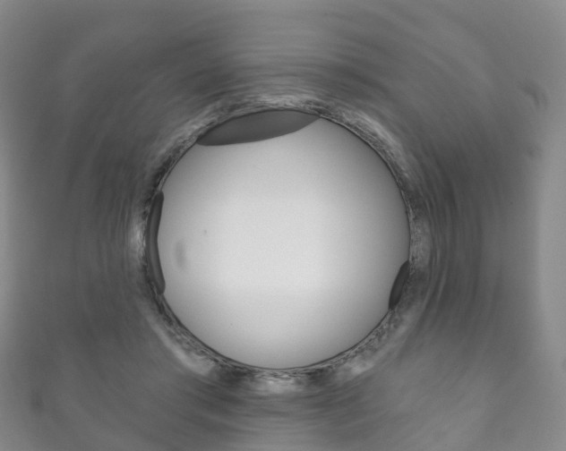 X0000111930405200907271035