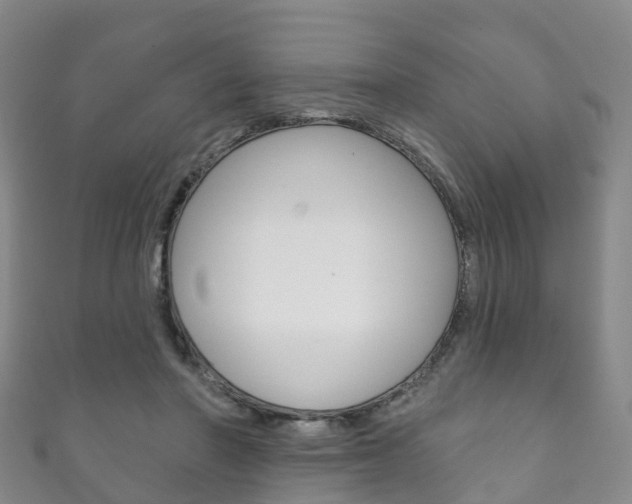 X0000111930406200907271035