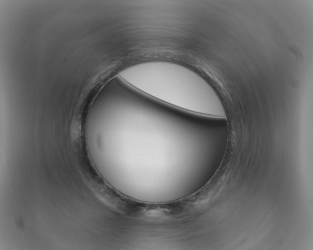 X0000111930407200907271035