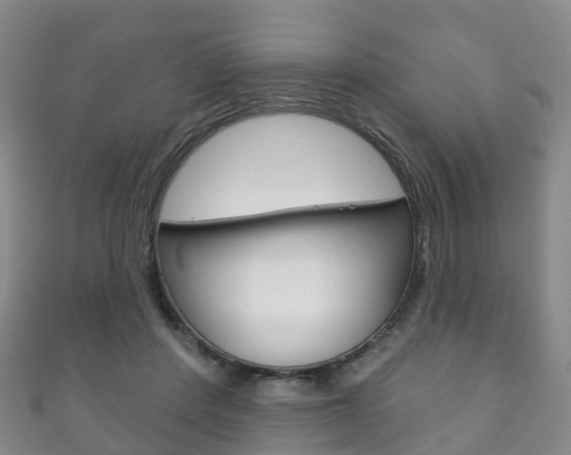 X0000111930408200907271035