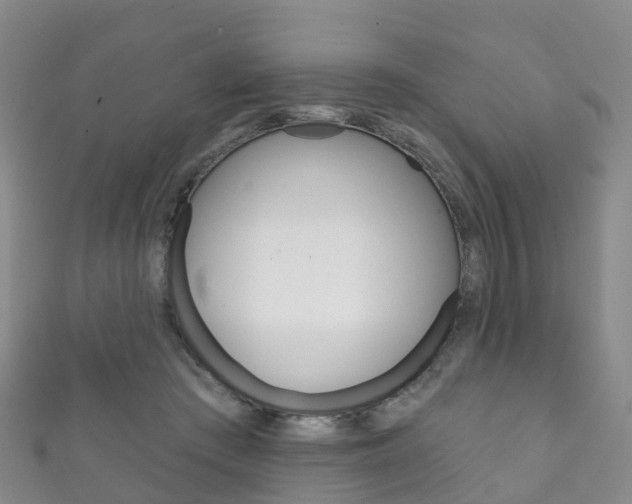X0000111930409200907271035