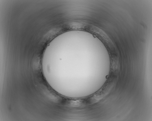 X0000111930411200907271035