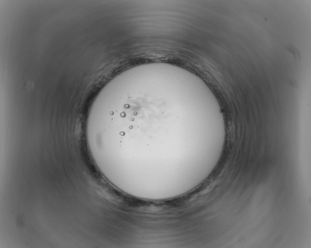 X0000111930412200907271035