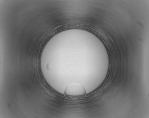 X0000111930413200907271035