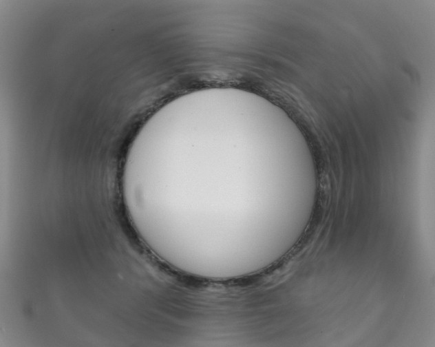 X0000111930416200907271035