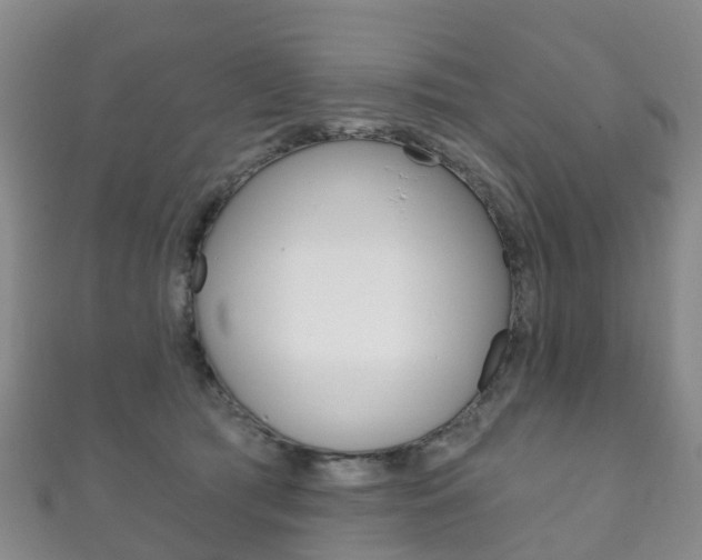 X0000111930417200907271035