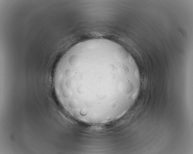 X0000111930418200907271035