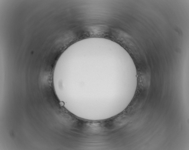 X0000111930419200907271035