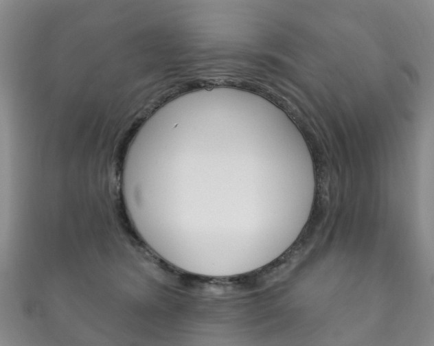 X0000111930420200907271035